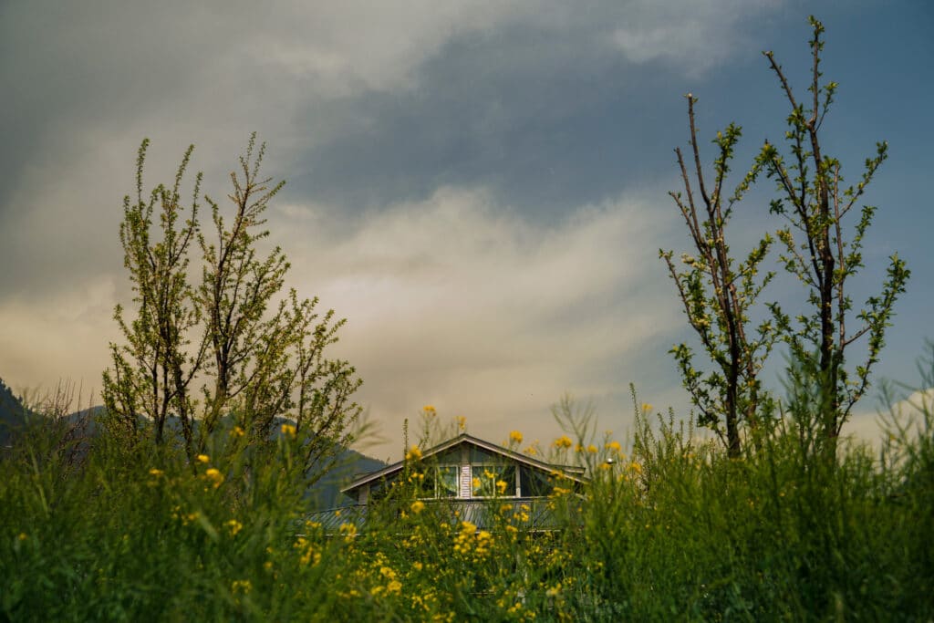 The outhouse with flowers in front, blending architecture with nature