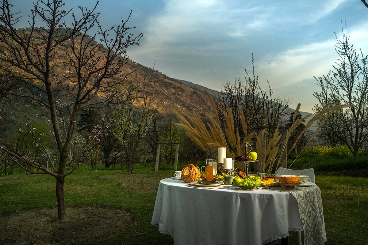 A picnic table at the homestay in the middle of an orchard, surrounded by green grass and blue sky