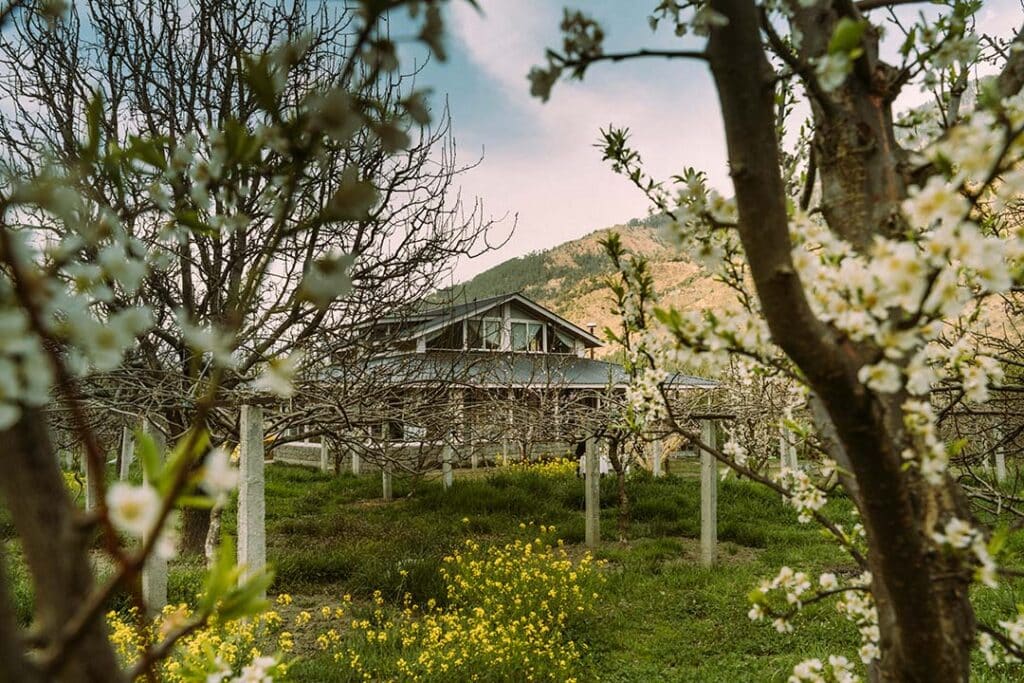 Outhouse nestled amidst lush trees and vibrant fruit blossoms