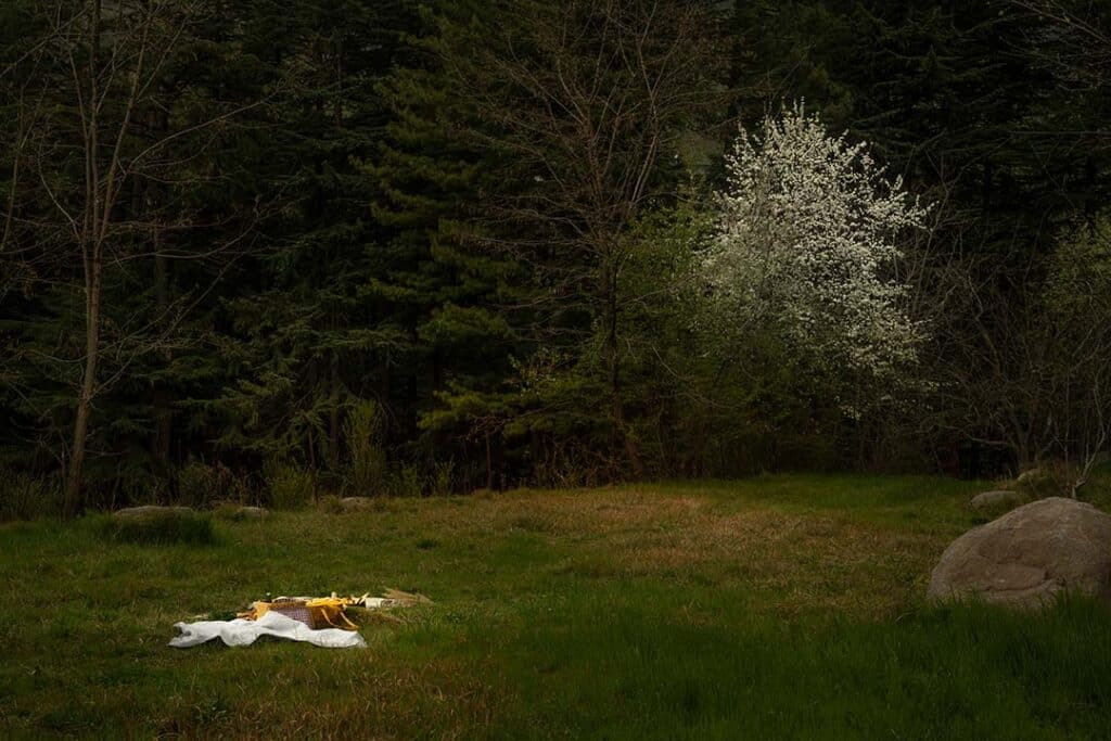 Picnic amidst a lush field of vibrant green grass